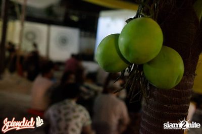 Splendid Sunday Cinema Club at Surface — photo 120