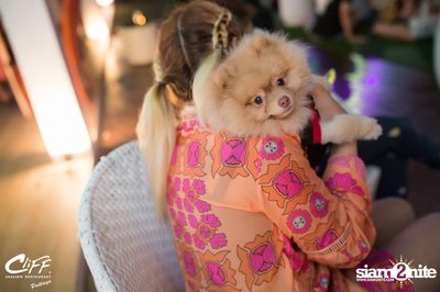 Connection Full Moon Party at Cliff Seaview Restaurant — photo 48