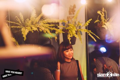 HYH นำเสนอ Last Dinosaurs และ Panama Live in Bangkok — photo 74
