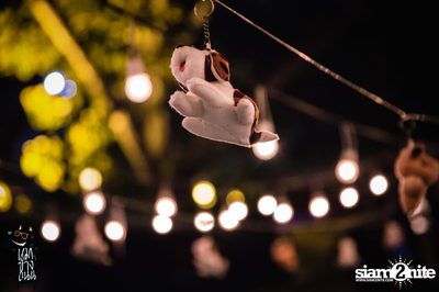 Room 39 Live at Roadsidedog, Ekamai-Raminthra — photo 12