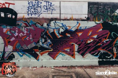 Meeting of Styles Thailand 2016 | Pattaya — photo 224