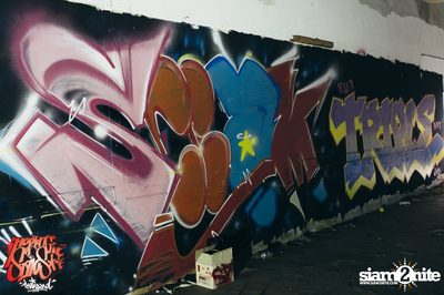 Meeting of Styles Thailand 2016 | Pattaya — photo 249