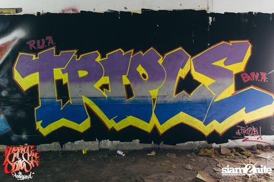 Meeting of Styles Thailand 2016 | Pattaya — photo 250