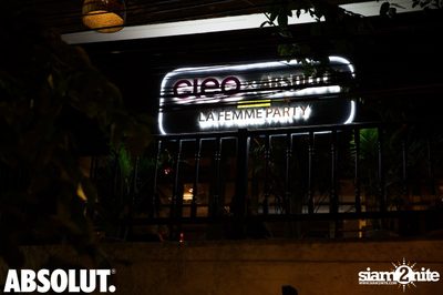 Cleo X Absolut La Femme Party | True Blue Party — photo 114
