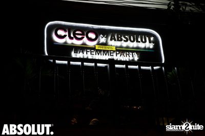 Cleo X Absolut La Femme Party | True Blue Party — photo 176
