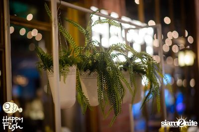 คืนวันศุกร์ ที่ร้าน แฮปปี้ ฟิช, เอเชีย ทีค เดอะ ริเวอร์ฟร้อนท์ — photo 22