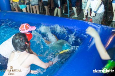 Wine Bridge Plus x Chivas Regal Extra pres. GO-WET-GONE — photo 44