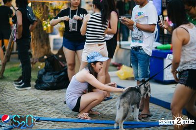 Pepsi Presents S2O Songkran Music Festival (Album 2) — photo 54