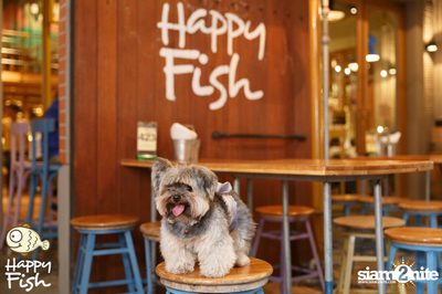 คืนวันศุกร์ ที่ร้าน แฮปปี้ ฟิช, เอเชีย ทีค เดอะ ริเวอร์ฟร้อนท์ — photo 75