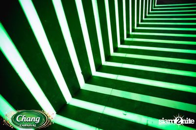 Chang Carnival: Neon The Night (Album 2) — photo 35