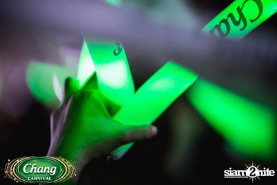 Chang Carnival: Neon The Night (Album 2) — photo 152