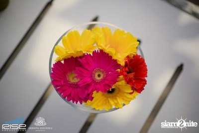 Flower Power Charity Pool Party for Freeland at Oriental Residence — photo 29