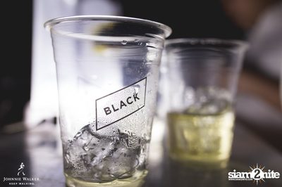 Johnnie Walker Black Label presents the White Eclipse Party — photo 150