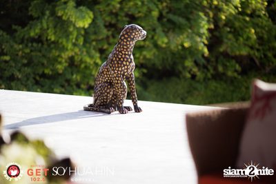 SO Beach Party at SO Sofitel Hua Hin — photo 5