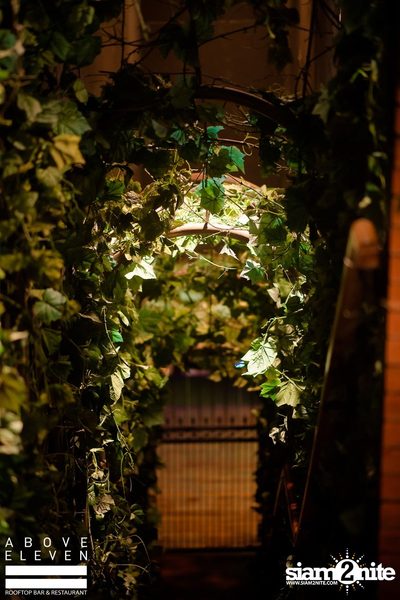 High Soul at Gramercy Park | Above Eleven — photo 22