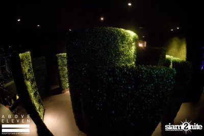 High Soul at Gramercy Park | Above Eleven — photo 50