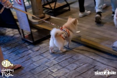 คืนวันศุกร์ ที่ร้าน แฮปปี้ ฟิช, เอเชีย ทีค เดอะ ริเวอร์ฟร้อนท์ — photo 24