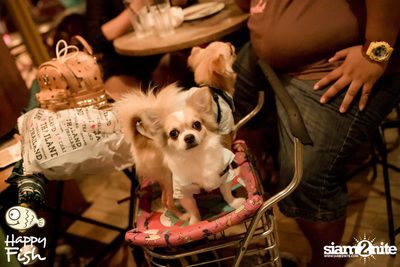 คืนวันศุกร์ ที่ร้าน แฮปปี้ ฟิช, เอเชีย ทีค เดอะ ริเวอร์ฟร้อนท์ — photo 45