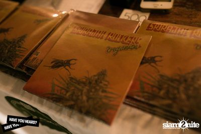 Singha Light Live Series Vol. 3 - Of Montreal ที่ ไลฟ์ อาร์ซีเอ กรุงเทพฯ — photo 10