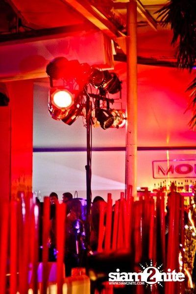 the fabulous MODE party — photo 7