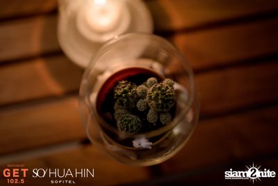 SO Beach Party at SO Sofitel Hua Hin — photo 46