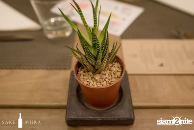 Sake Mura presents Sake x Tapas paring happy hour and dinner — photo 19