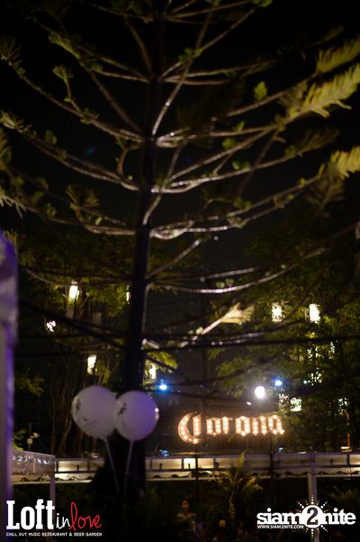 Friday Night at Loft in Love — photo 85