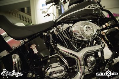 Harley Davidson Party ที่ สปาสโซ่ — photo 113