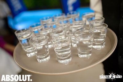 Chow & Absolut pres. Bikini at Chow — photo 12