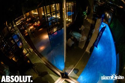 Chow & Absolut pres. Bikini at Chow — photo 40