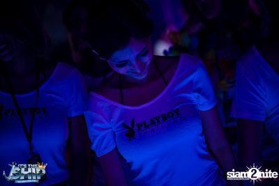 It's The Ship 2016: Asia’s largest EDM cruise festival — photo 317