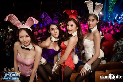 It's The Ship 2016: Asia’s largest EDM cruise festival — photo 397