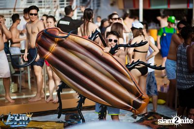 It's The Ship 2016: Asia’s largest EDM cruise festival — photo 514