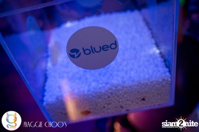Masquerade - Gay Night's 2nd Anniversary ที่ แม็กกี้ ชูส์ — photo 5