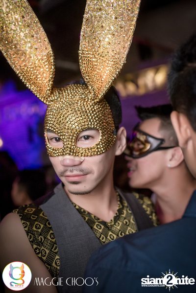 Masquerade - Gay Night's 2nd Anniversary ที่ แม็กกี้ ชูส์ — photo 38
