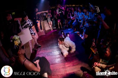 Masquerade - Gay Night's 2nd Anniversary ที่ แม็กกี้ ชูส์ — photo 202