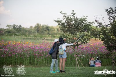 ดอกไม้ของย่า, บทเพลงของพ่อ ที่ ลานสิงห์ปาร์ค เชียงราย วันที่ 2 (อัลบั้มที่ 1) — photo 8
