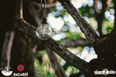 SUNDAZE ที่ Roots | K-Village — photo 25