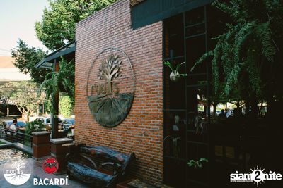 SUNDAZE ที่ Roots | K-Village — photo 49