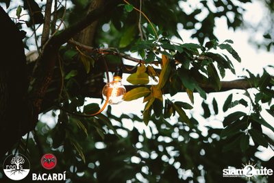 SUNDAZE ที่ Roots | K-Village — photo 79