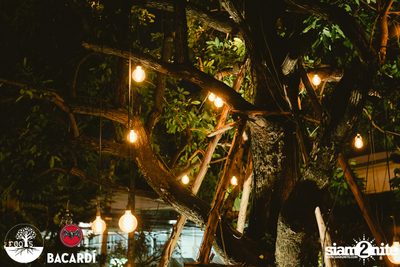 SUNDAZE ที่ Roots | K-Village — photo 143
