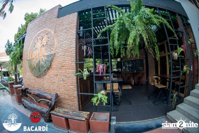 SUNDAZE ที่ Roots | K-Village — photo 28
