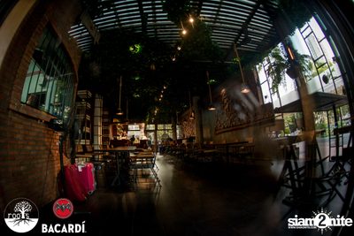 SUNDAZE ที่ Roots | K-Village — photo 30