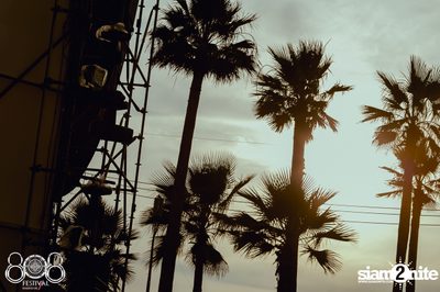 808 Festival 2016 | Pattaya - Day 2 (Album 4) — photo 4