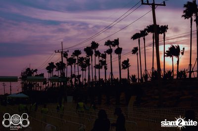 808 Festival 2016 | Pattaya - Day 2 (Album 4) — photo 7