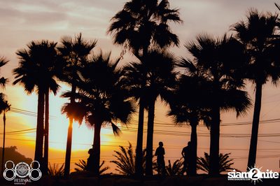 808 Festival 2016 | Pattaya - Day 2 (Album 4) — photo 14