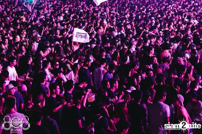 808 Festival 2016 | Pattaya - Day 2 (Album 4) — photo 337