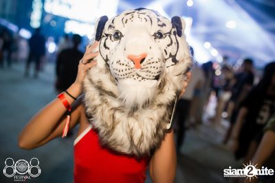 808 Festival 2016 | Pattaya - Day 1 (Album 5) — photo 78