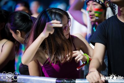 808 Festival 2016 | Pattaya - Day 2 (Album 3) — photo 69