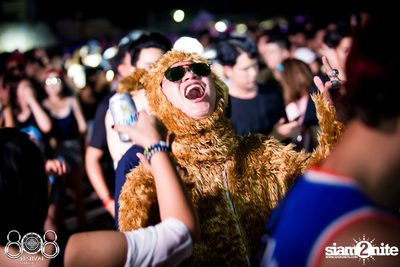 808 Festival 2016 | Pattaya - Day 2 (Album 6) — photo 21